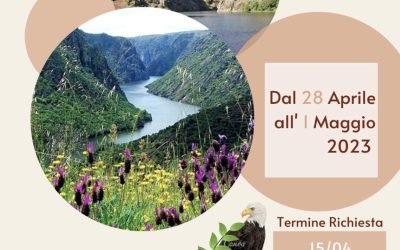 Hiking with the Eagles