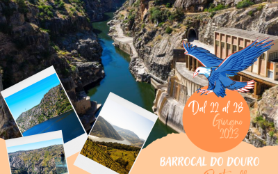 MOBILITA’ #BARROCALDODOURO PORTOGALLO