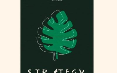 Il manuale di S.T.R.A.T.E.G.Y.