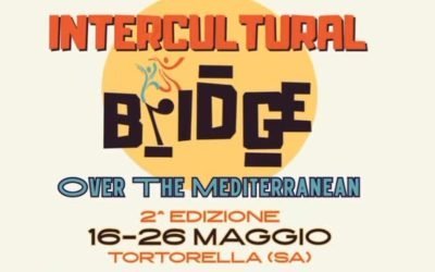 Intercultural Bridge