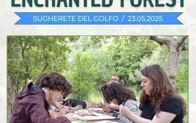 ATTIVITÀ DI FOLLOW UP – ENCHANTED FOREST 👇